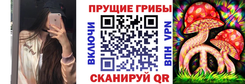 даркнет сайт  Шали  Галлюциногенные грибы MAGIC MUSHROOMS 