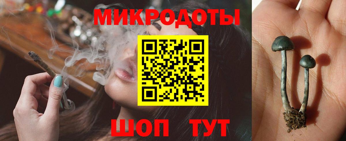 как найти наркотики  Псилоцибиновые грибы прущие грибы  Шали  Вход с VPN  Галлюциногенные грибы ЛСД 