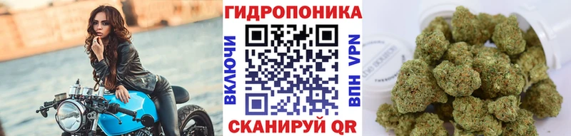 Канабис ГИДРОПОН  Шали 